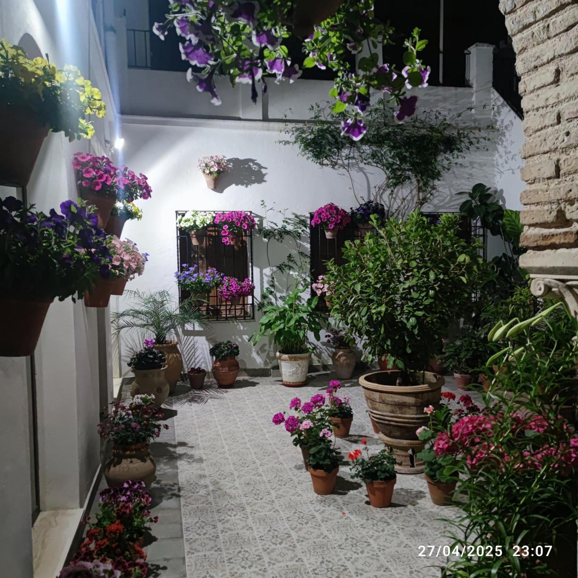Appartement El Patio De Regina à Cordoue Extérieur photo
