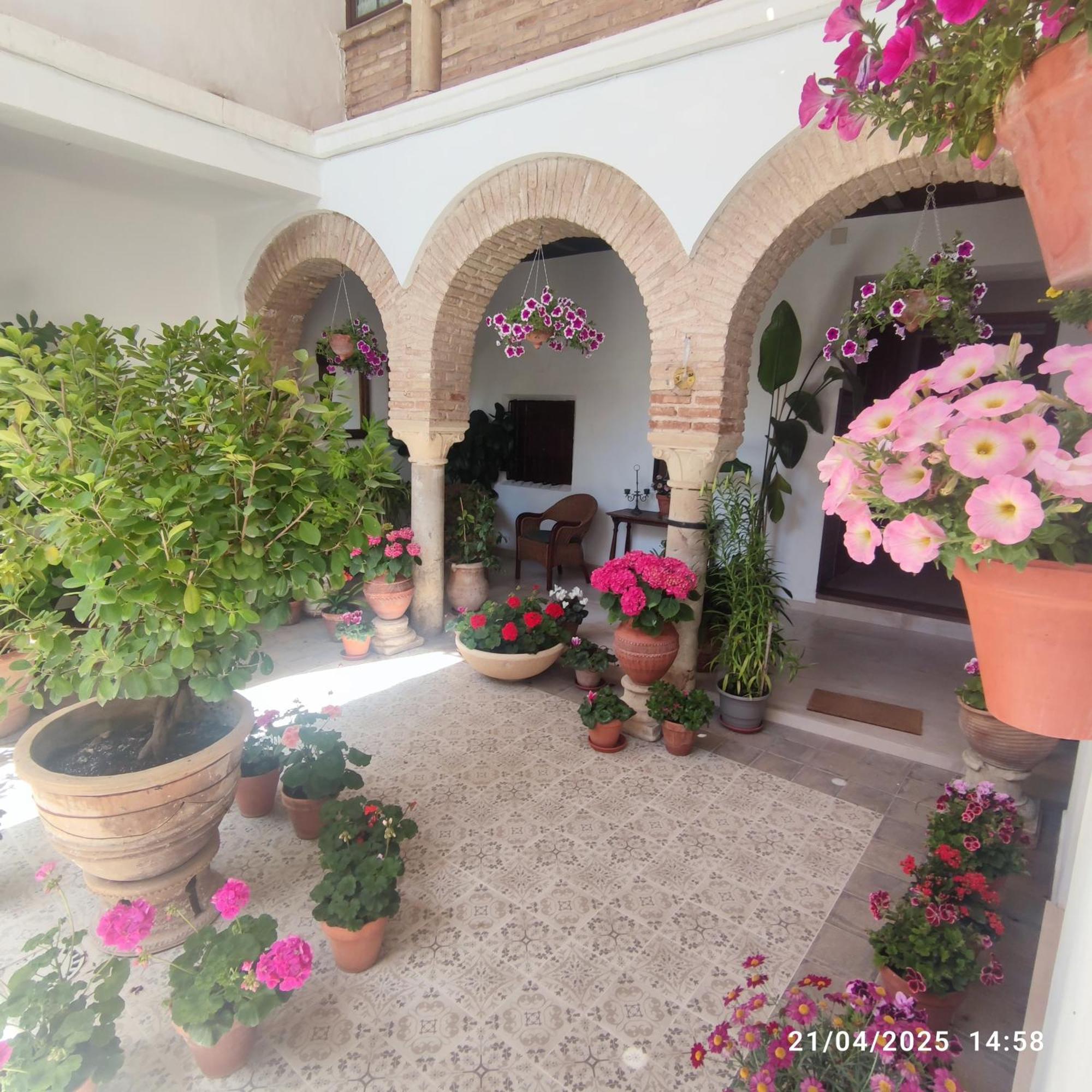 Appartement El Patio De Regina à Cordoue Extérieur photo